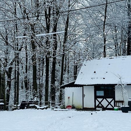 Romantyczna Chatka Pisarzowice  외부 사진