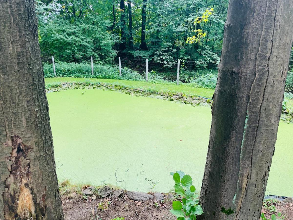 Romantyczna Chatka Pisarzowice  외부 사진