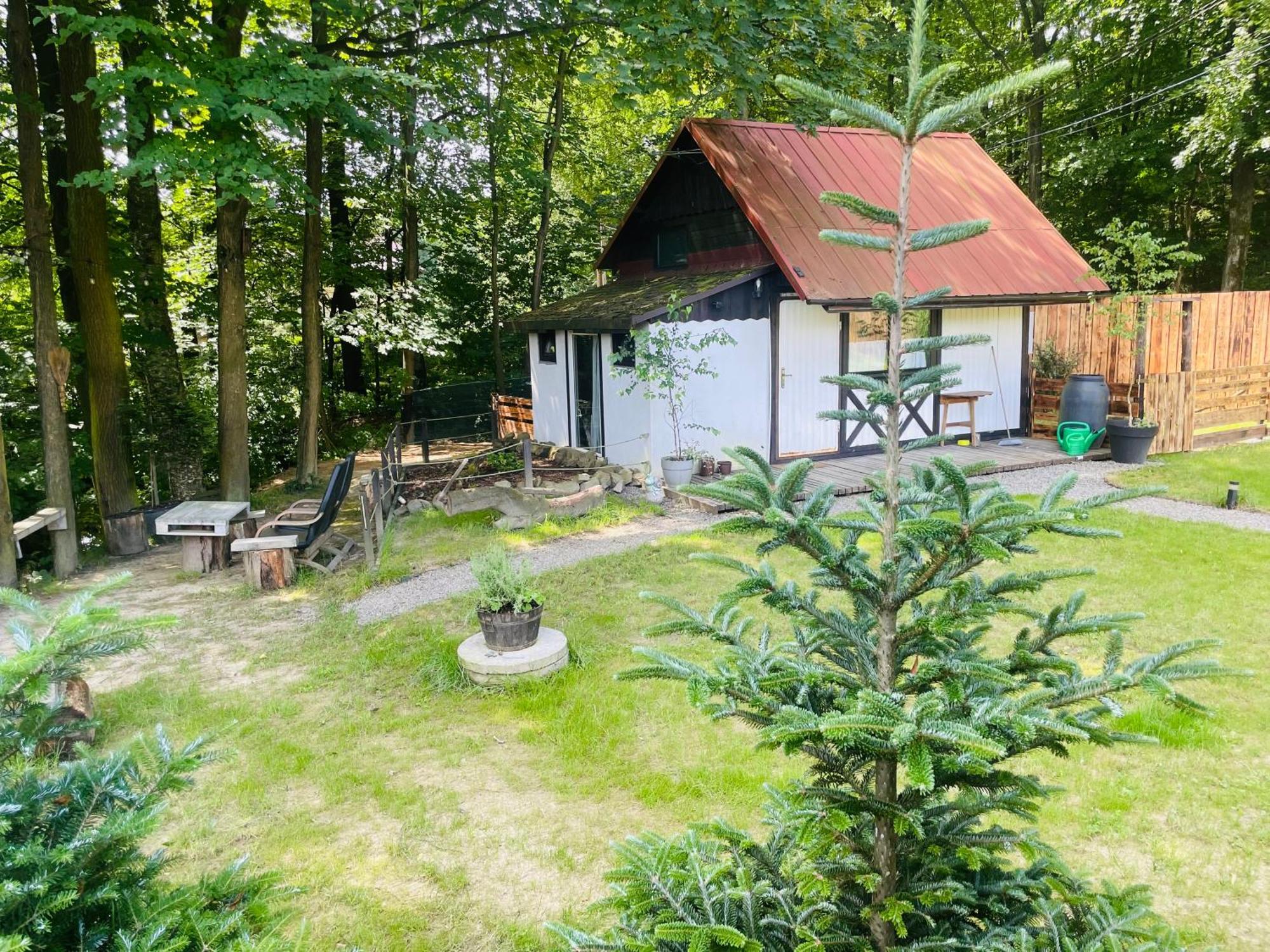 Romantyczna Chatka Pisarzowice  외부 사진