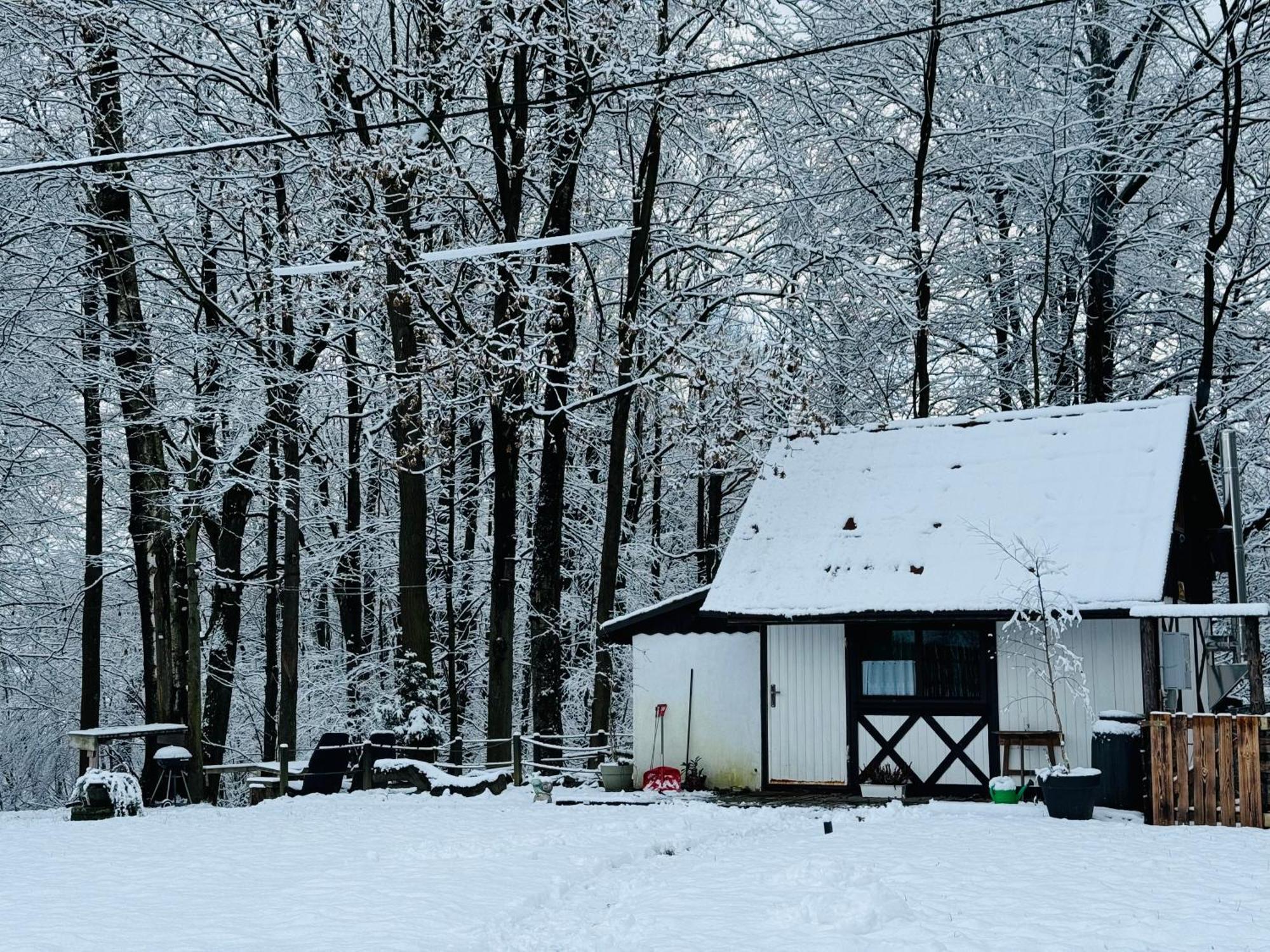 Romantyczna Chatka Pisarzowice  외부 사진