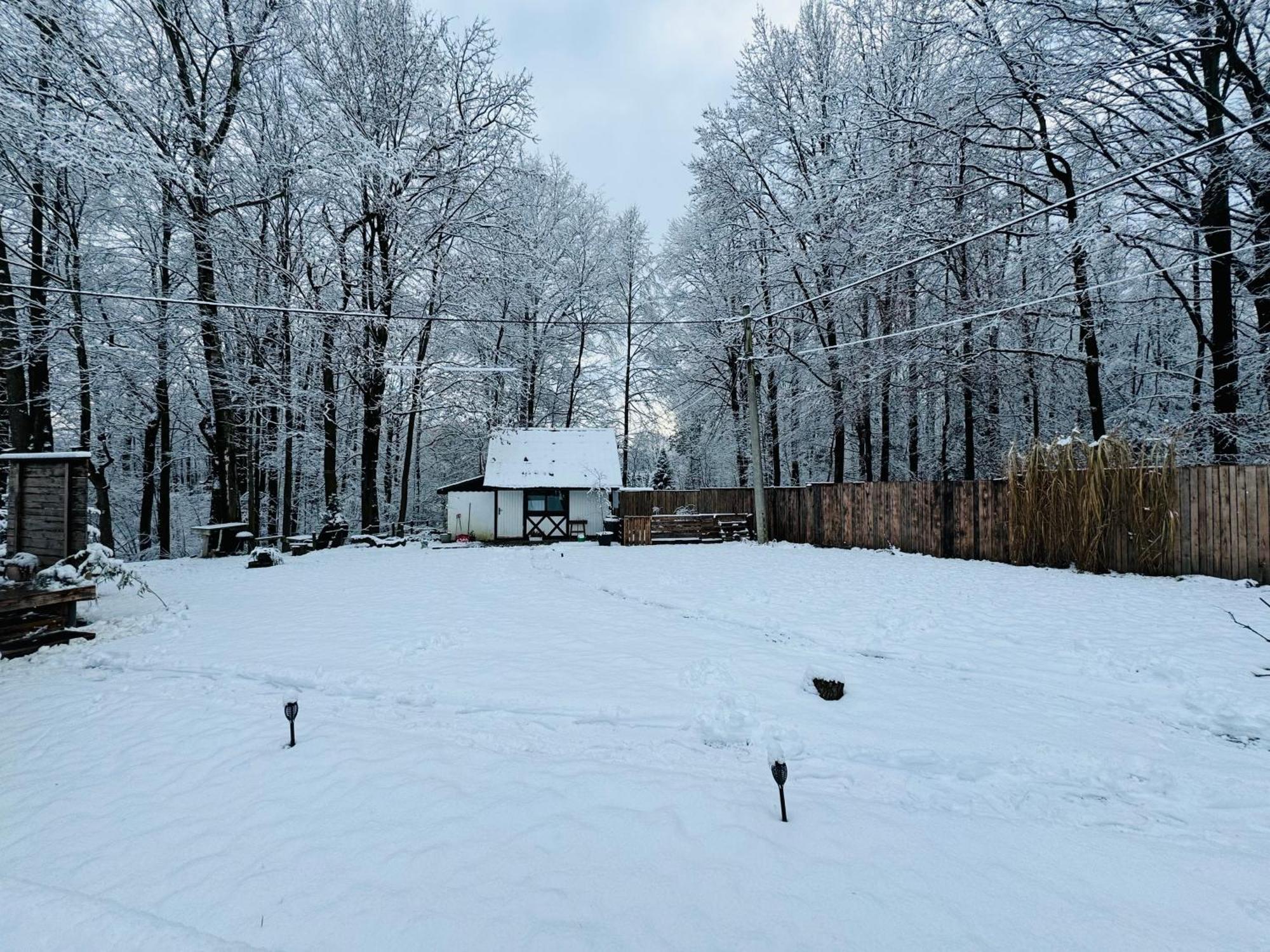 Pisarzowice  Romantyczna Chatka 빌라 외부 사진