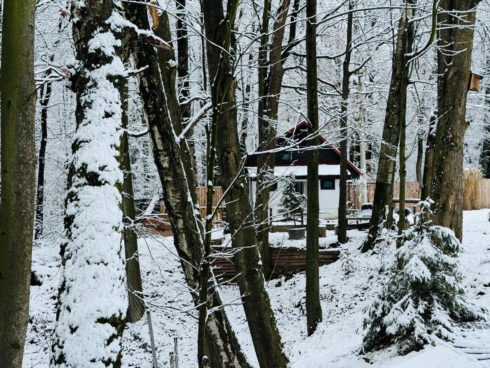 Romantyczna Chatka Pisarzowice  외부 사진